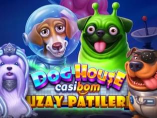 Dog House Uzay Patileri